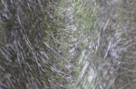 Haygrass fibreglass roof work